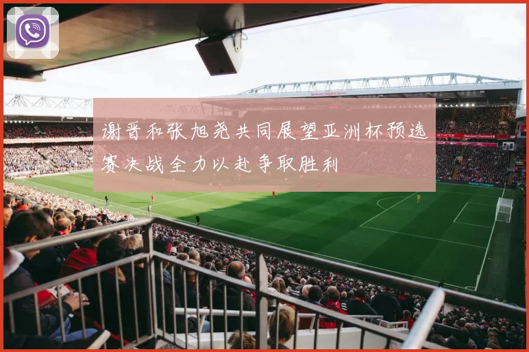 谢晋和张旭尧共同展望亚洲杯预选赛决战全力以赴争取胜利