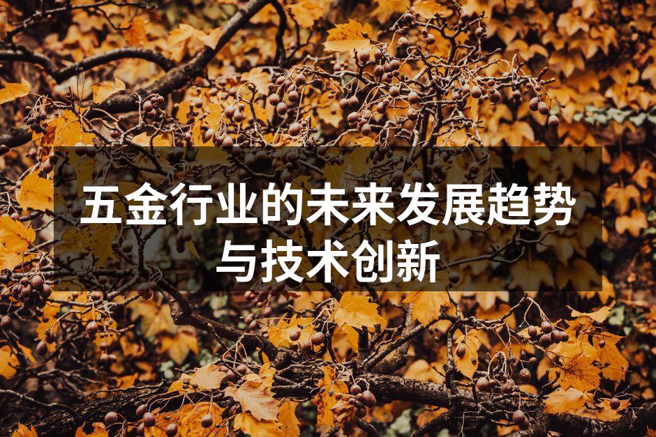 先进的五金制造设备